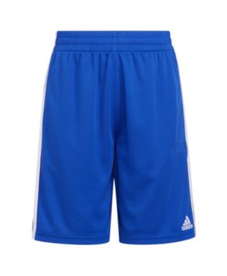 sunlight bell solar lamp