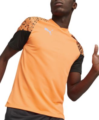 sunlight bell solar lamp