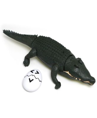 Discovery Kids Toy Remote Control Crocodile image number null