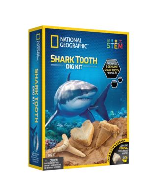 National Geographic Shark Tooth Dig Kit image number null