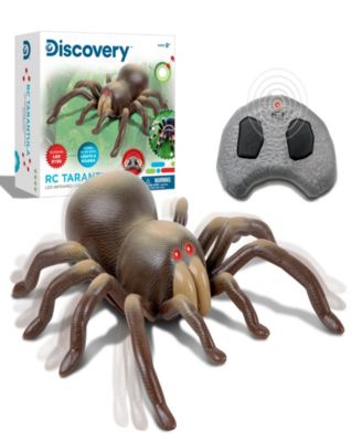 Discovery Kids Remote Control Moving Tarantula Spider Toy, Set of 2