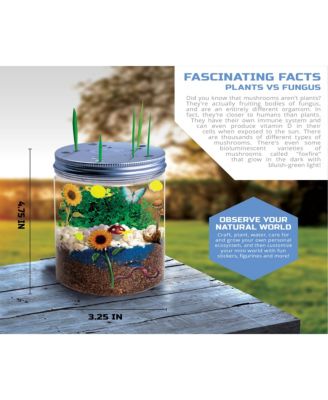 Discovery Kids DIY Terrarium Grow Kit, Fast-Growing Indoor Mini Garden image number null