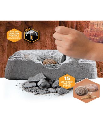 Discovery #MINDBLOWN ColossalFossil Dig Set, 15-Piece Archeology Excavation Kit  image number null