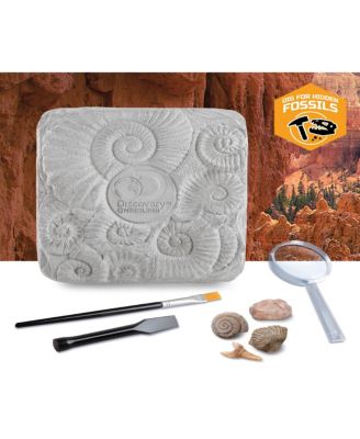 Discovery #MINDBLOWN ColossalFossil Dig Set, 15-Piece Archeology Excavation Kit  image number null