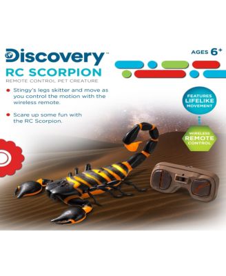 Discovery Kids RC Scorpion, Glow In The Dark Body, Wireless Remote-Control Toy for Kids image number null