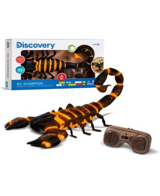 Discovery Kids RC Scorpion, Glow In The Dark Body, Wireless Remote-Control Toy for Kids