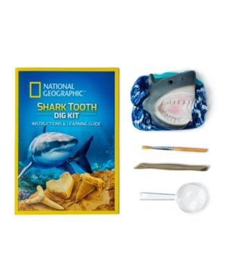 National Geographic Shark Tooth Dig Kit image number null