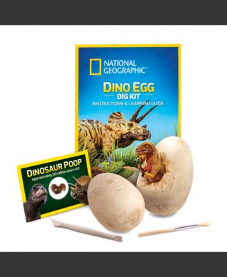 National Geographic Dino Egg Dig Kit image number null