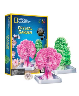 National Geographic Crystal Garden image number null