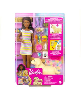 Barbie Doll and Pets, 14 Piece Set image number null