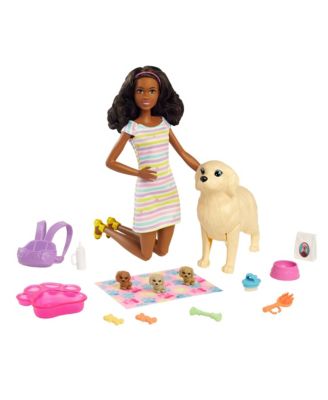 Barbie Doll and Pets, 14 Piece Set
