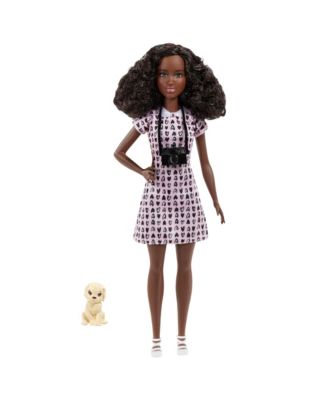Barbie Pet Photographer Doll, 6 Piece Set