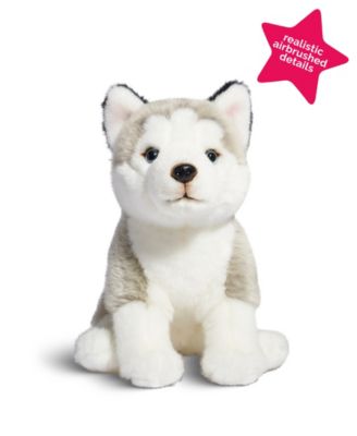 Geoffrey's Toy Box 10" Plush Puppy Floppy Husky, Created for Macy's image number null