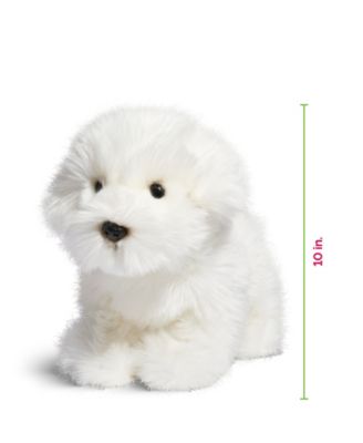 Geoffrey's Toy Box 10" Maltese Puppy Dog Toy, Created for Macy's image number null