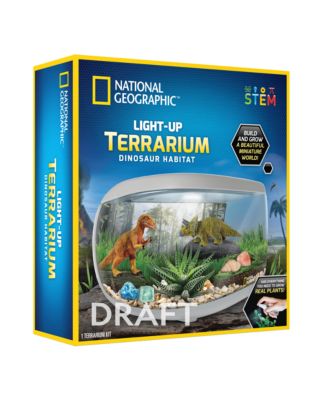 National Geographic Light Up Terrarium- Dinosaur Habitat