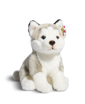 Geoffrey's Toy Box 10" Plush Puppy Floppy Husky, Created for Macy's  image number null