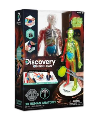 CLOSEOUT! Discovery #MINDBLOWN 3D Human Anatomy 28-Piece Biology Model image number null