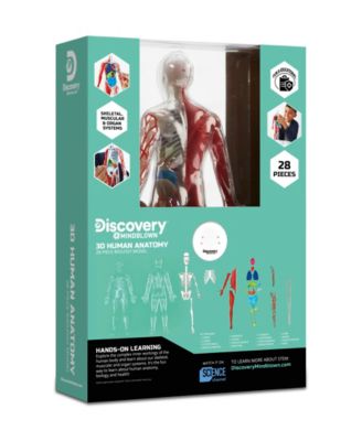 CLOSEOUT! Discovery #MINDBLOWN 3D Human Anatomy 28-Piece Biology Model image number null