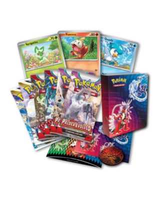 Pokemon Back to School Coll Chest Tin 2023 Trading Card Game image number null