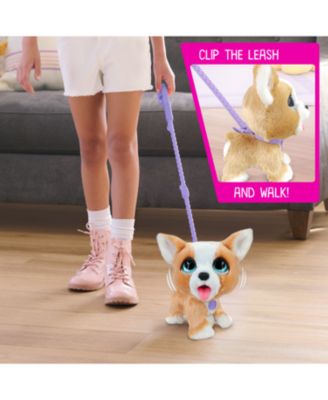 FurReal Friends Poop-A-Lots Corgi Interactive Toy, 8" Walking Plush Puppy with Sounds, 4-Pieces image number null