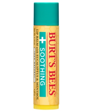 UPC 792850027305 product image for Burt's Bees Medicated Lip Balm - Eucalyptus & Menthol | upcitemdb.com