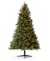 tree tree