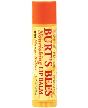 UPC 792850007406 product image for Burt's Bees Mango Lip Balm | upcitemdb.com