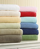 Martha Stewart Collection