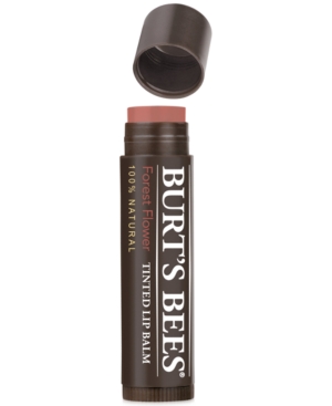 UPC 792850010802 product image for Burt's Bees Tinted Lip Balm | upcitemdb.com
