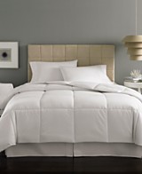 Comforter Sets for Queen Beds: Buy Comforter Sets for Queen Beds ...