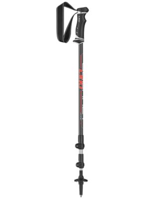 trekking stick online