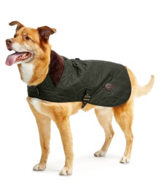 barbour dog coat sizing