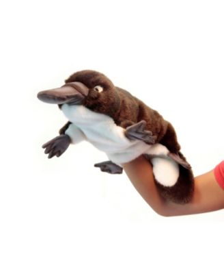 tommy hilfiger platypus