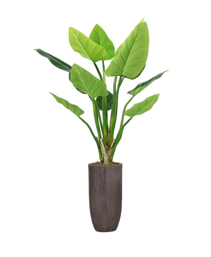 Vintage Home 62.25" Philodendron Erubescens Green Emerald in Resin Planter & Reviews - Home - Macy's