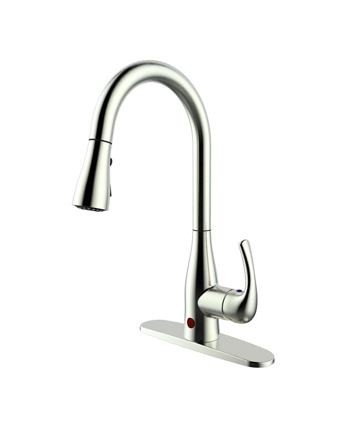 Bio Bidet Flow Motion Sensor Activated SingleHandle PullDown Sprayer