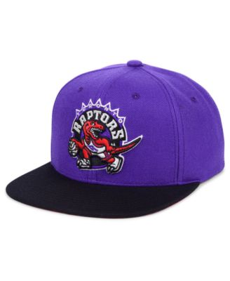 baby raptors hat