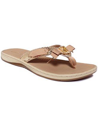 Sperry Women's Serenafish Thong Sandals - Shoes - Macy's