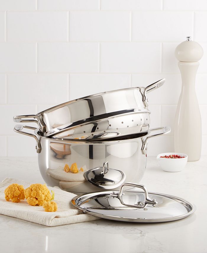 All-Clad Stainless Steel 5 Qt. Covered Multi Pot with Steamer Insert All Clad Stainless Steel Steamer