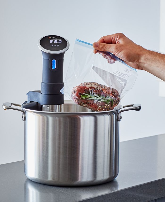 Anova Sous Vide WiFi Precision Cooker & Reviews Small Appliances