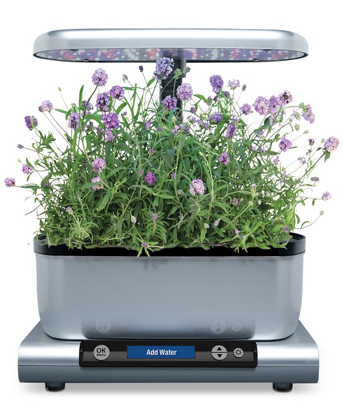 AeroGarden Grow Anything 6-Pod Refill Kit & Reviews - Small Appliances