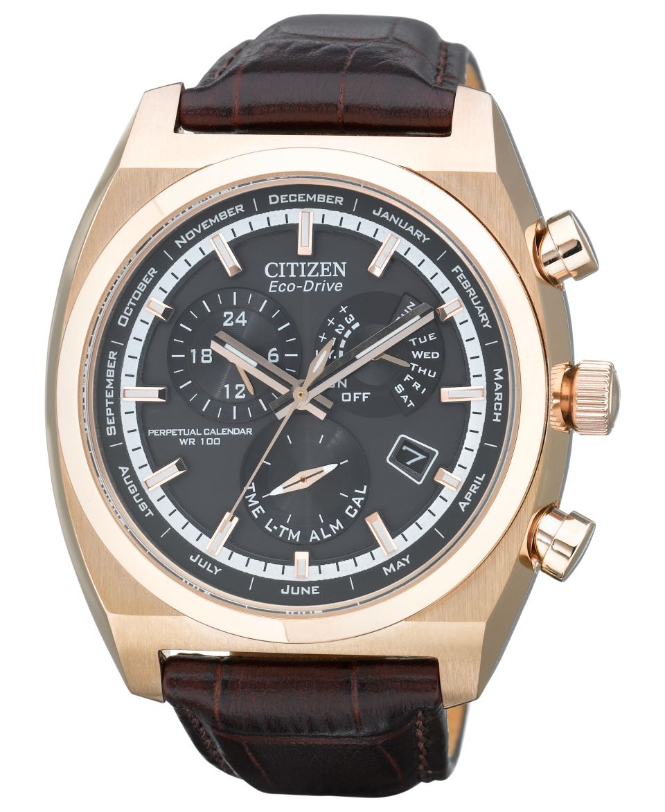 Citizen Watch, Mens Eco Drive Calibre 8700 Perpetual Calendar Brown