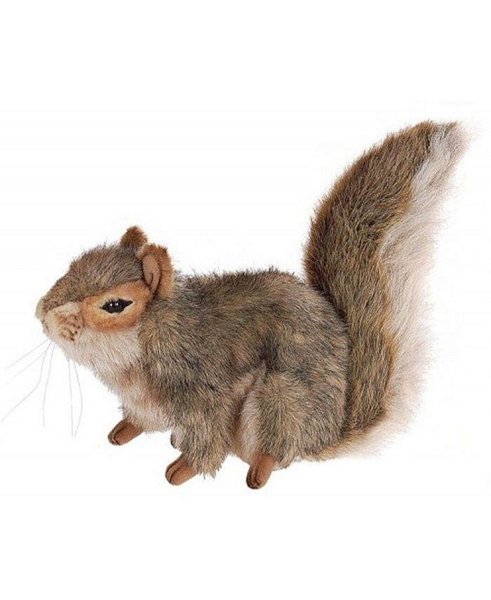 hansa gray squirrel