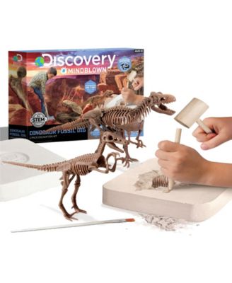 dinosaur excavation toy