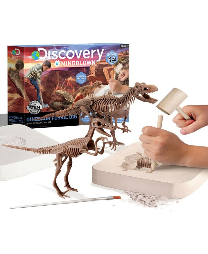excavation kit dinosaur 3d skeleton