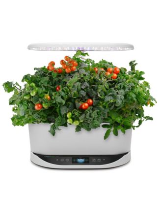 AeroGarden Bounty Basic LED Plastic Hydroponic System (24-in Maximum