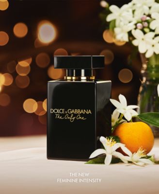 dolce and gabbana the only one macys