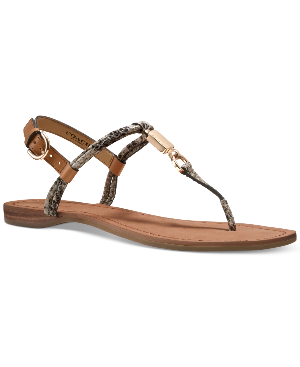 COACH CHARLEEN FLAT SANDAL   Shoes