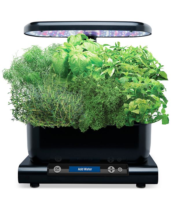 AeroGarden Gourmet Herb 6-Pod Refill Kit & Reviews - Small ...