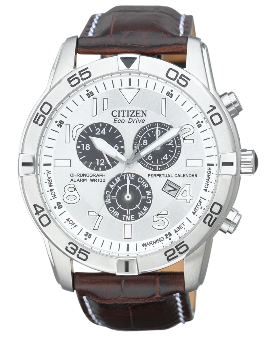 Citizen Watch, Mens Eco Drive Perpetual Calendar Chronograph Brown