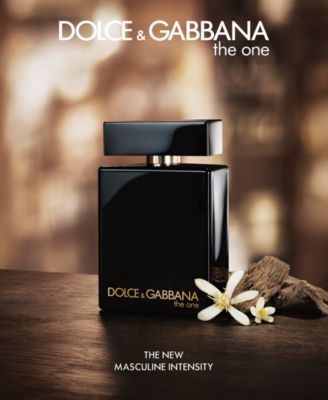 dolce gabbana the one intense
